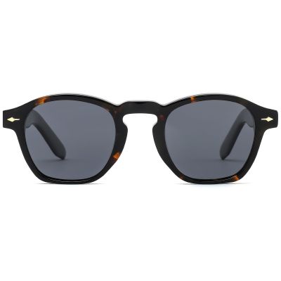 Classic Pantos Acetate Sunglasses - Tortoise Frame with Arrow Metal Detail